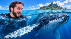 Étienne et une baleine en Polynésie